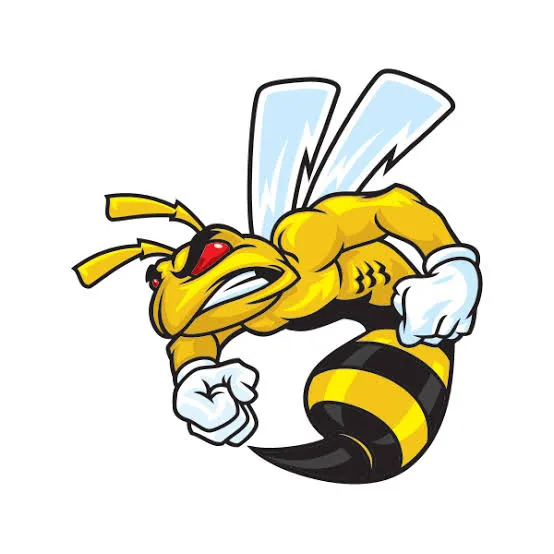 tawonbet APK Football